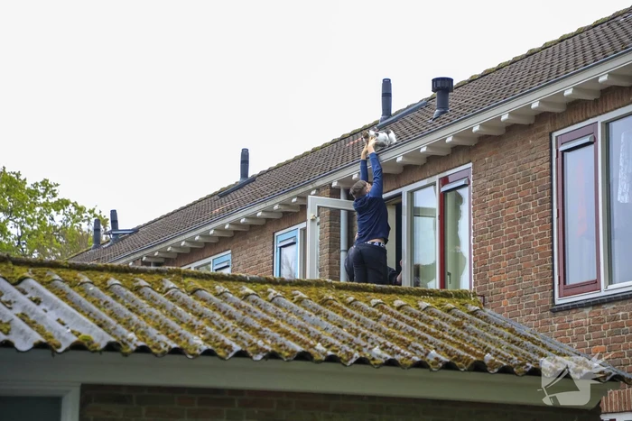 Kat Pika laat zich niet vangen