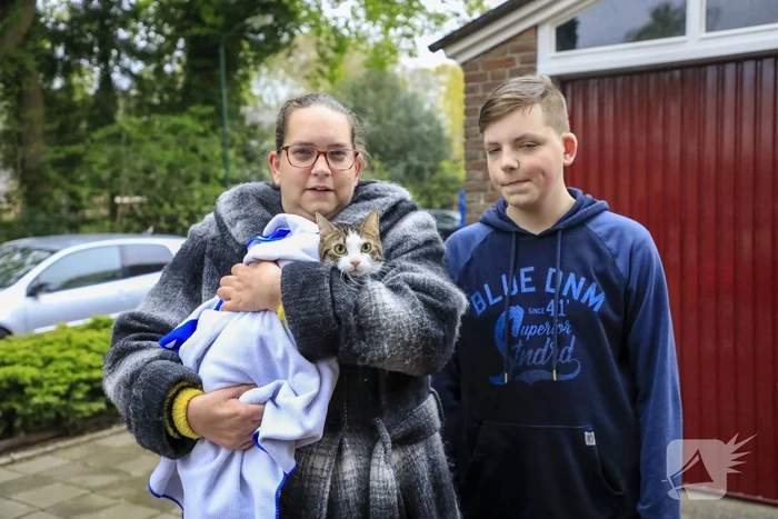 Kat Pika laat zich niet vangen