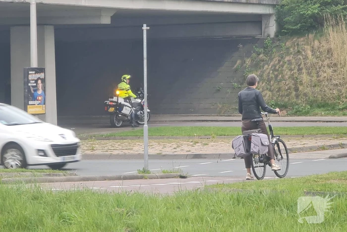 Zwaan op de weg houdt politie lang bezig