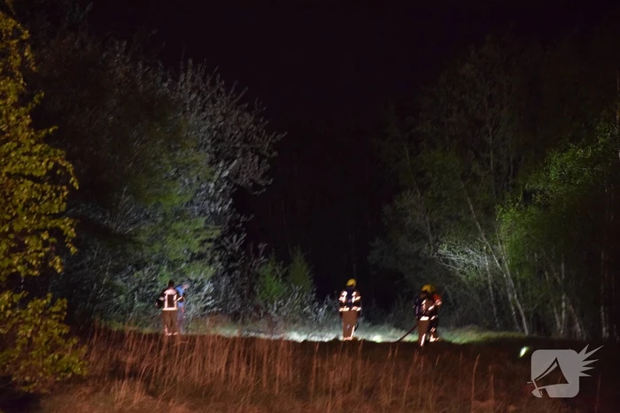 Brandweer groots ingezet voor bosbrand