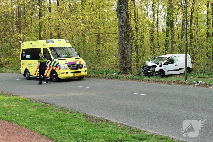 Bestelwagen botst op boom