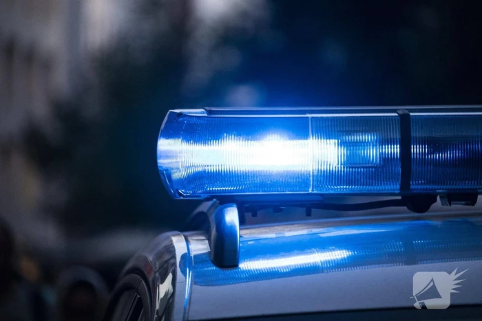 ongeval zijderupsvlinder amersfoort