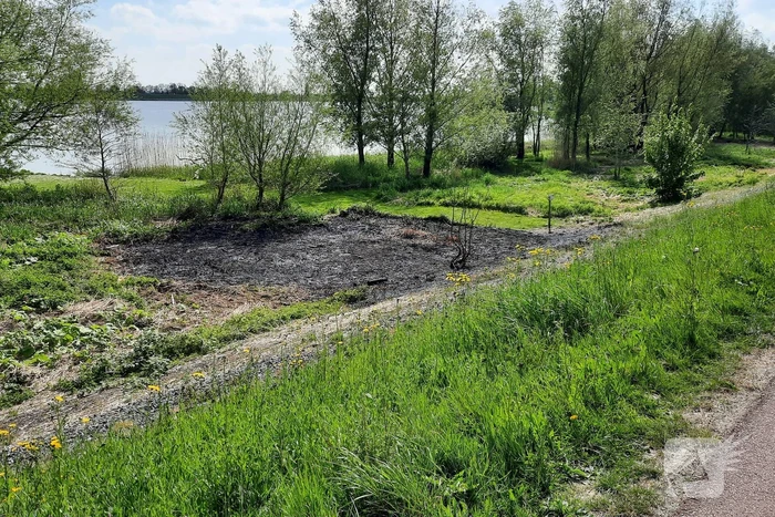 Stuk gras vlam gevat naast autoweg