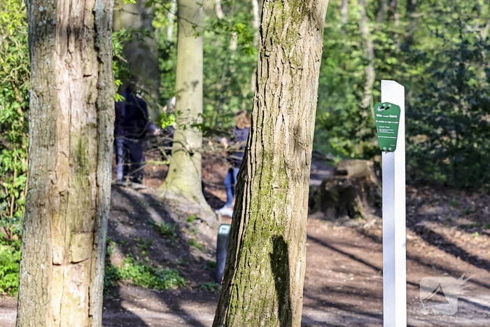 Vermiste Martin den Uijl gevonden in bosgebied Nimmerdor