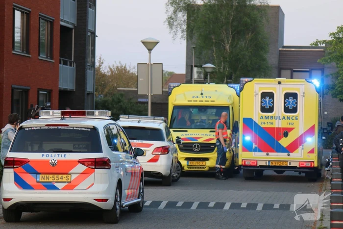 Twee gewonden bij steekpartij in park