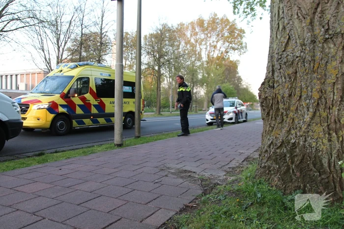 Fietser botst op boom en raakt gewond