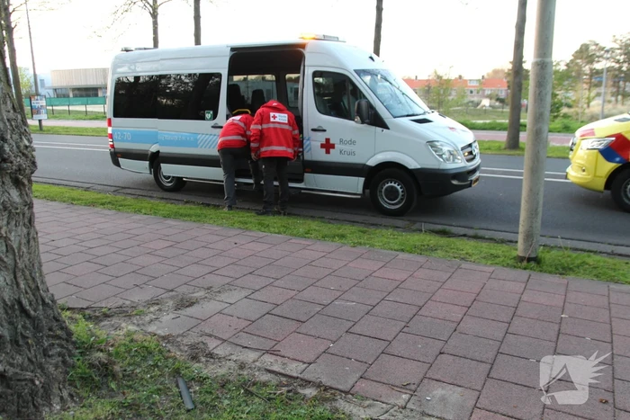 Fietser botst op boom en raakt gewond