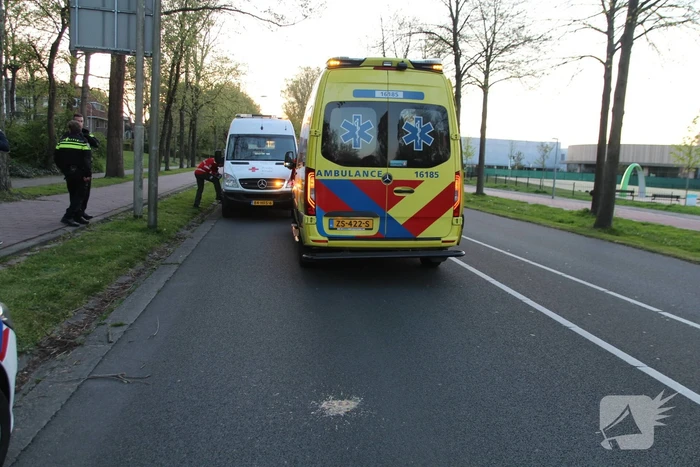 Fietser botst op boom en raakt gewond