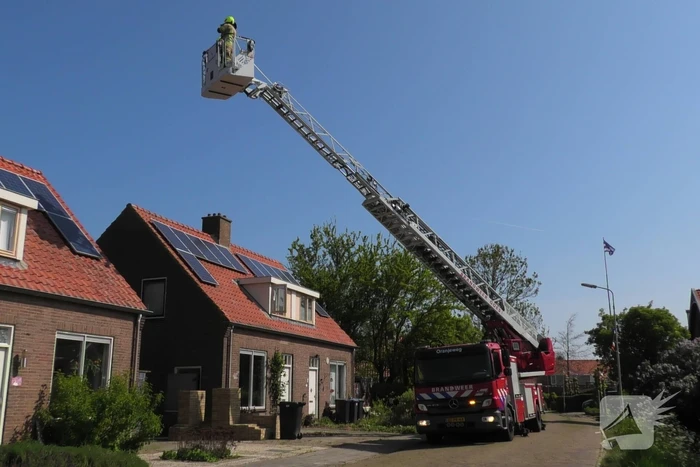 Kraai dagenlang vast in schoorsteen