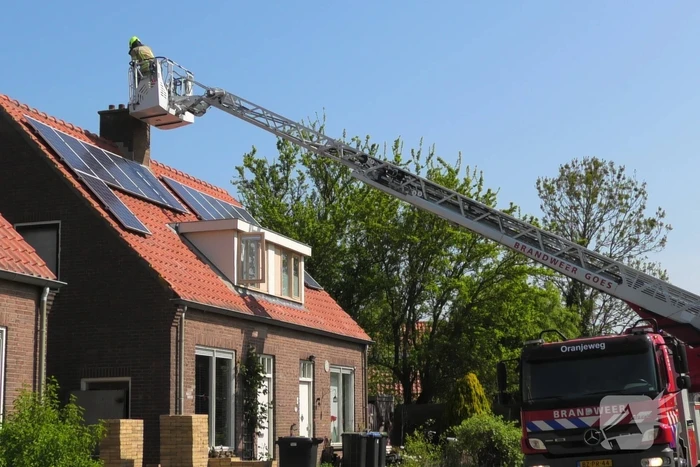 Kraai dagenlang vast in schoorsteen