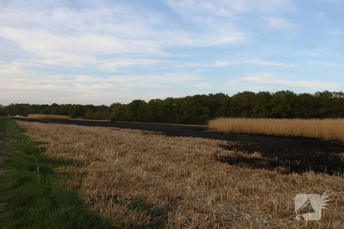 Graanveld grootdeel verwoest vanwege brand