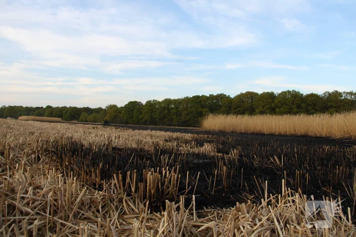 Graanveld grootdeel verwoest vanwege brand