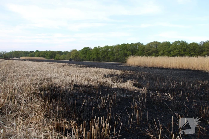 Graanveld grootdeel verwoest vanwege brand