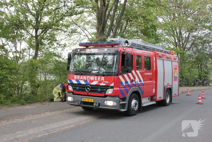 Vlammen bij brand naast sportveld