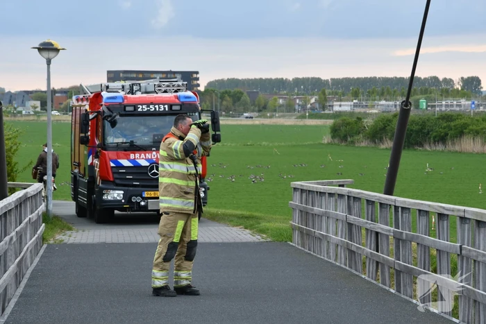 Hulpdiensten ingezet voor zoekactie in water
