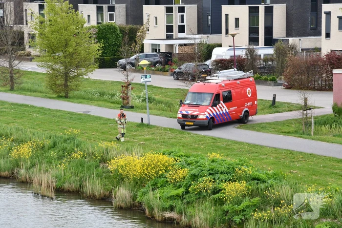 Hulpdiensten ingezet voor zoekactie in water