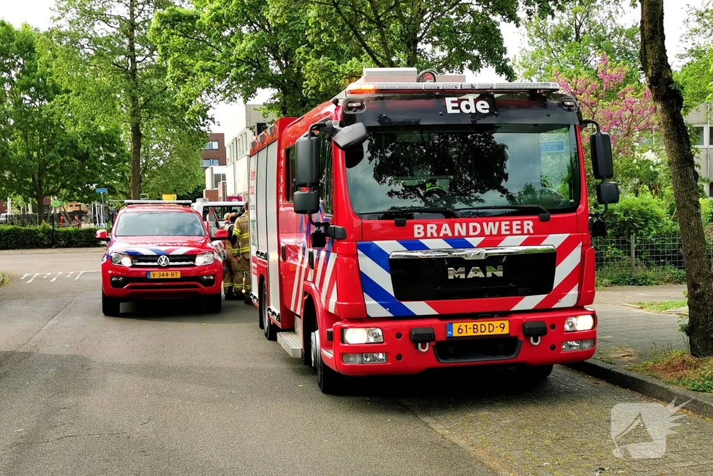 Sint Hubertus Ede 112 