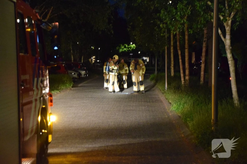 Waterlelie Nieuws Woudenberg 