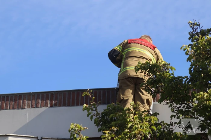 Brandweer veegt schoorsteen na brand