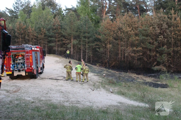 brand stuifzandpad harderwijk