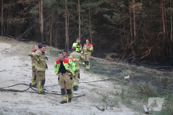 Hardlopers ontdekken bosbrand