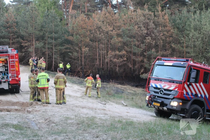 Hardlopers ontdekken bosbrand