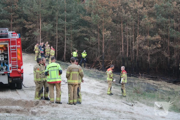 Hardlopers ontdekken bosbrand