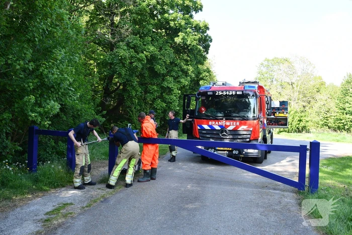 Brandweer druk met zoekgeraakte hond Dash