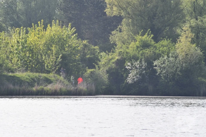 Brandweer druk met zoekgeraakte hond Dash