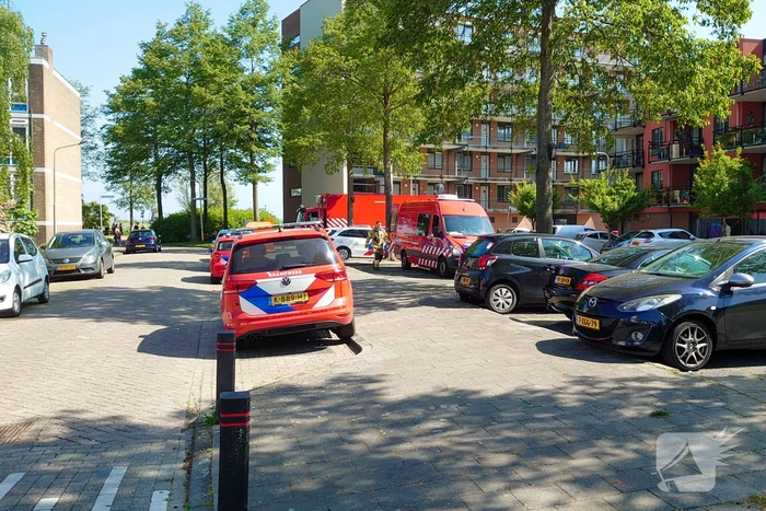 Twee dode en meerdere slachtoffers bij schietpartij