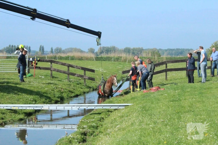 nieuws voorschoterweg valkenburg