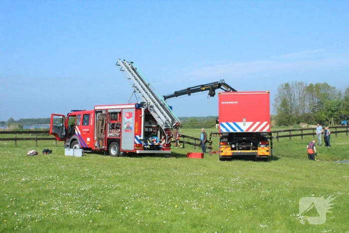Brandweer redt paard uit sloot