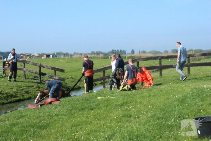 Brandweer redt paard uit sloot