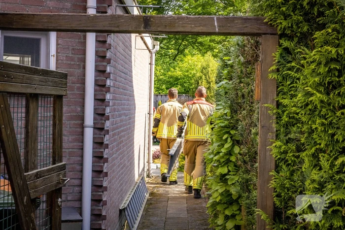 Brandweer redt onbekende kat uit boom