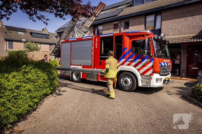 Brandweer redt onbekende kat uit boom