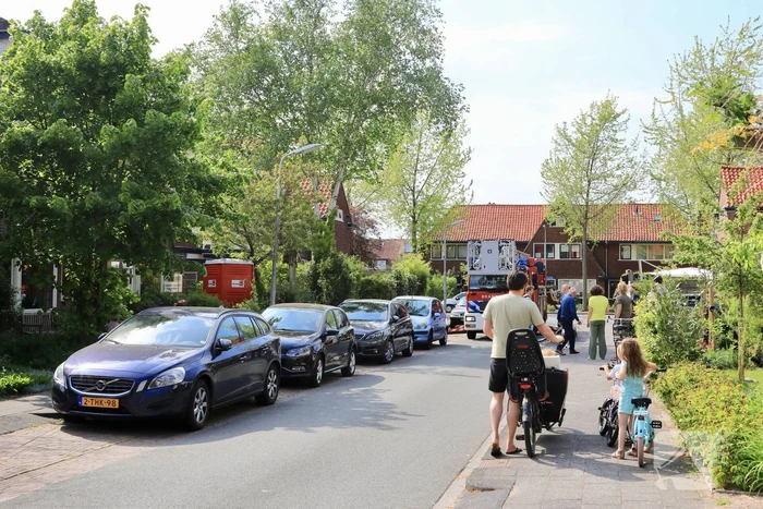 natuur lorentzstraat amersfoort