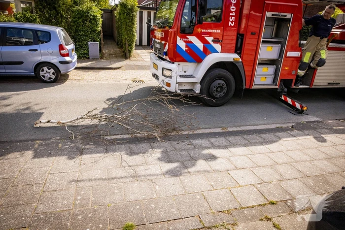 Veel bekijks bij gevaarlijk hangende tak