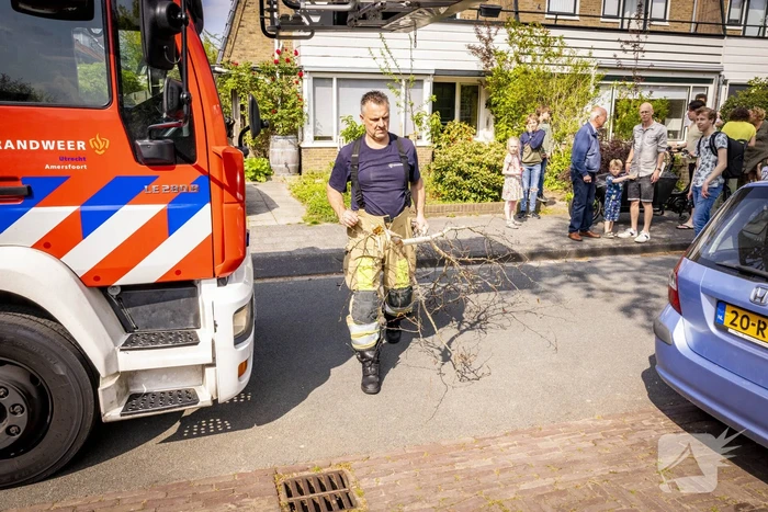 Veel bekijks bij gevaarlijk hangende tak
