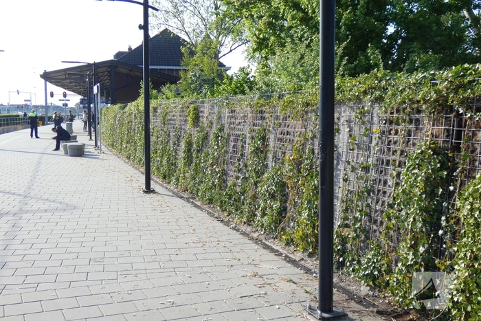 Heg in brand op treinstation