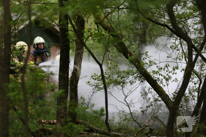 Brandweer blust brand in bosgebied