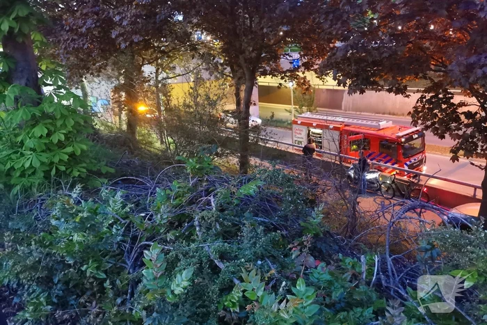 brand albertstunnel ede