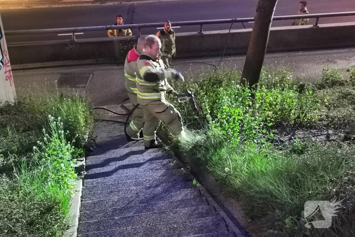 Geldkisje gevonden bij brand in bosschage