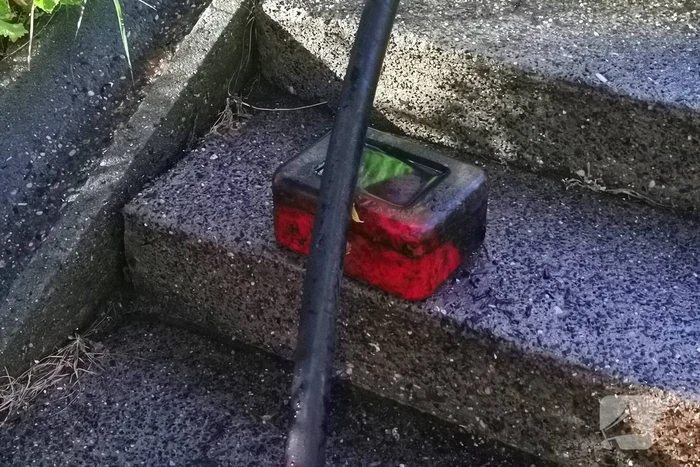 Geldkisje gevonden bij brand in bosschage