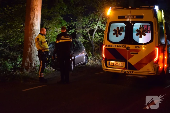 Automobilist rijdt tegen boom