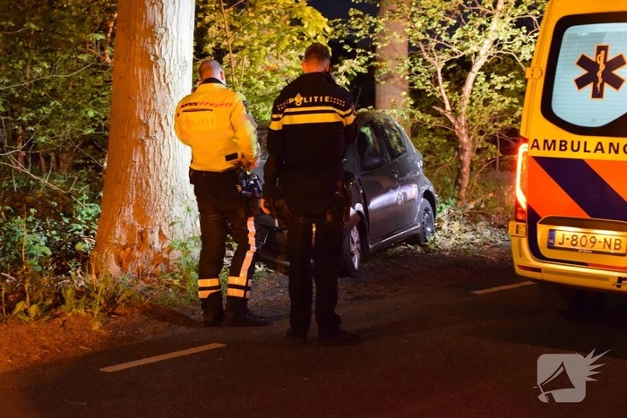 Automobilist rijdt tegen boom