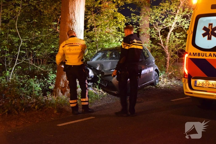 Automobilist rijdt tegen boom