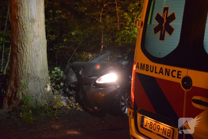 Automobilist rijdt tegen boom