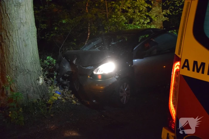 Automobilist rijdt tegen boom