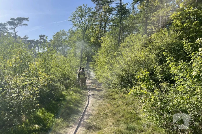 Brand in bosperceel snel geblust