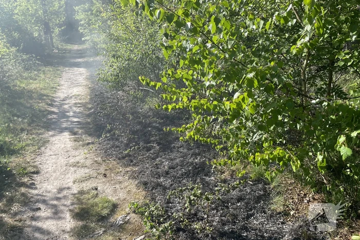 Brand in bosperceel snel geblust